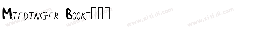 Miedinger Book字体转换 Miedinger Book字体转换